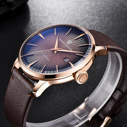 PAGANI DESIGN men's watch 2770 luxury automatic mechanical